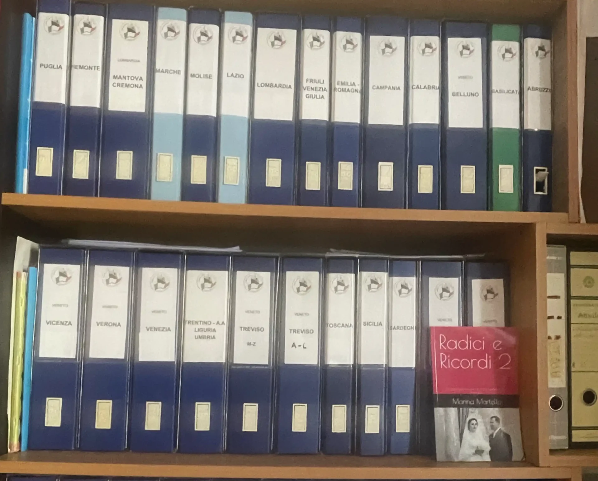 Wooden studio shelf filled with labeled binders, one for each family research case in progress.