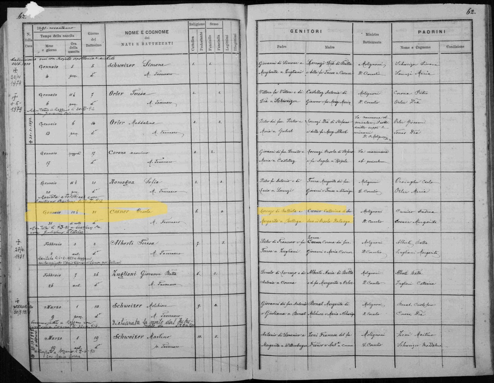 Trentino-Alto Adige dioceses parish records genealogy: two-page spread of an 1891 parish baptism register in the same Austrian-model format, with the entry of Cosner Orsola, born 12 January 1891, highlighted; her mother is recorded as Cunico Catterina, daughter of Andrea and Orsola — the same child baptised on the 1862 page, now a mother, with her own father Cunico Andrea standing as godparent.